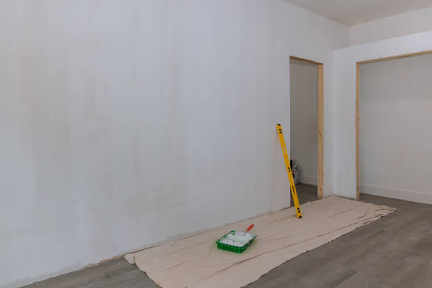 Best Industrial Mold Remediation  in Wlow Springs, IL