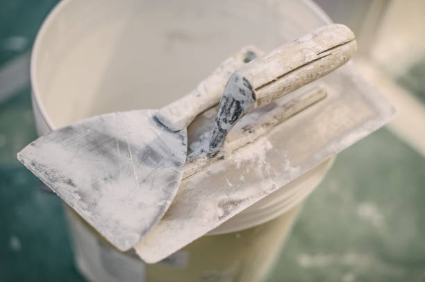 Best Real Estate Mold Inspection  in Wlow Springs, IL
